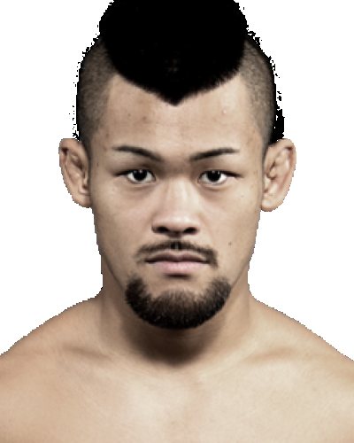 Motonobu Tezuka