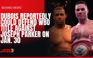 Photo via MMA-TV (fighter photos: TheSportsDB)